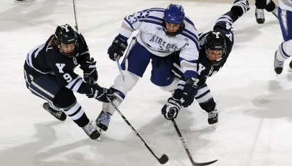 开云app客服-“高新体育中心武术：传统功夫与现代竞技的精彩对抗”