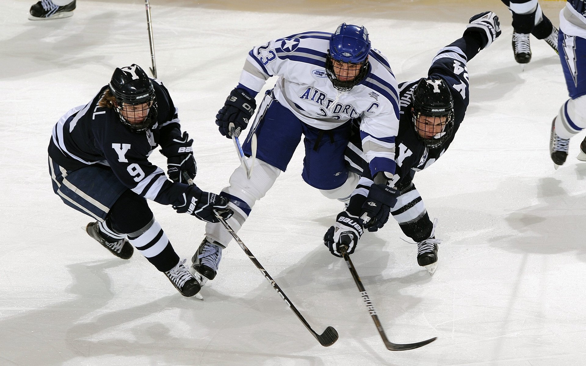 “高新体育中心武术：传统功夫与现代竞技的精彩对抗”